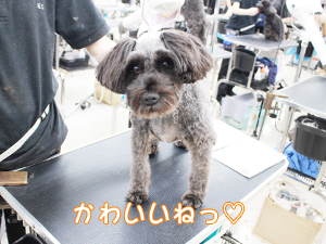 かわいいねって言ってみました☆